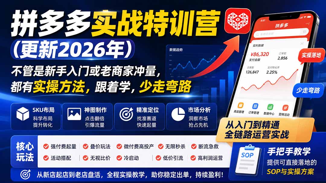 拼多多实战特训营(更新26年0822-优优云网创