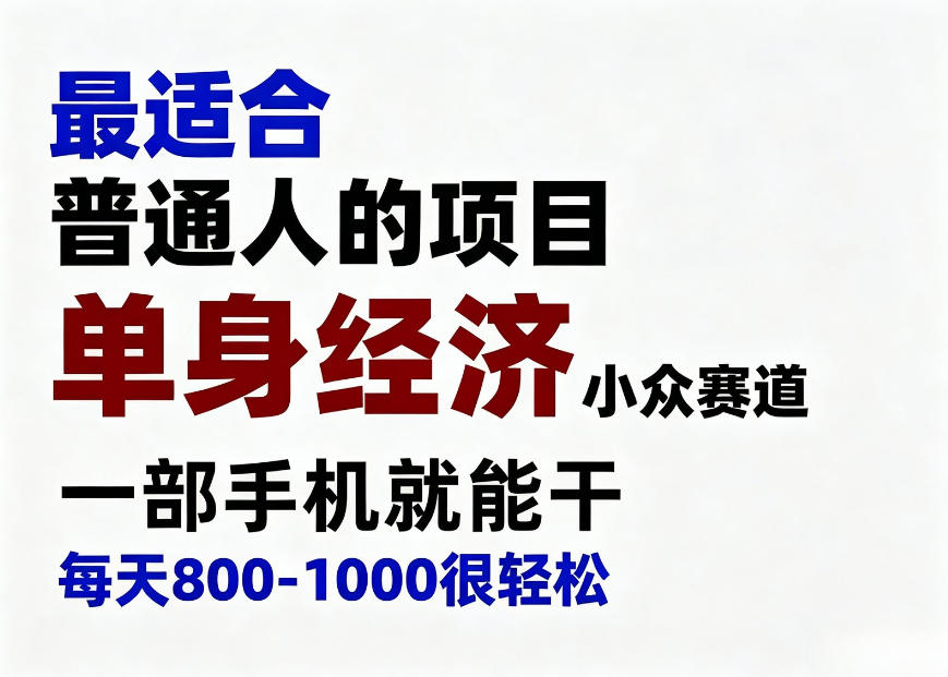 身经济小众赛道,一部手机就能干,每天搞个800-1000很轻松,最适合普通人的项目【揭秘】-优优云网创