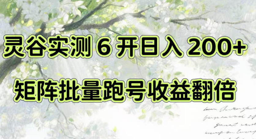 一台电脑就能做！灵谷实测6开日入200+，矩阵批量跑号收益翻倍【揭秘】-优优云网创
