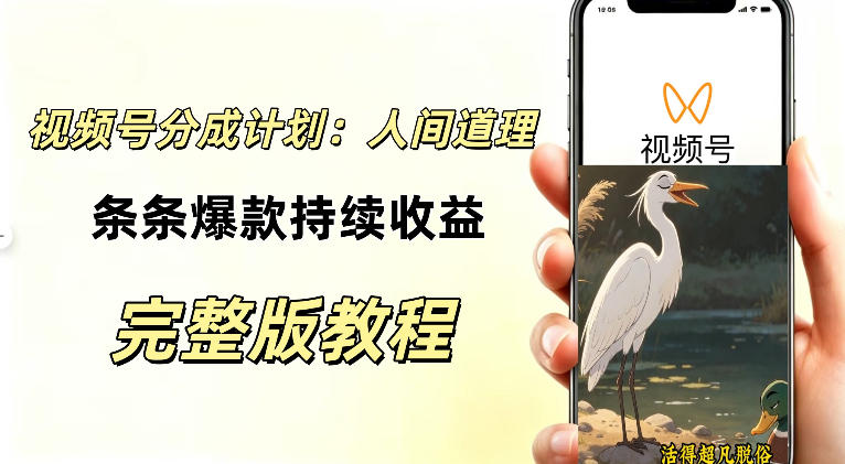 视频号新玩法之AI动漫画风励志视频,不用会画画、不用拍摄,持续化收益,详细拆解-优优云网创